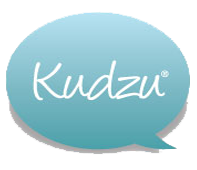 Kudzu Cleaning Review